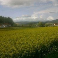 Sangromigno- Sagra Del Tordello