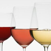 Wine-selection Srls