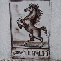 Il Cavallino